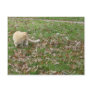 Autumn Is Most Beautiful Season Cards Postcards
