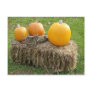 Autumn Is Most Beautiful Season Cards Post Cards
