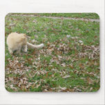 Autumn Is The Most Beautiful Time Of Year Mouse Pads
