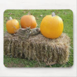 Autumn Is The Most Beautiful Time Of Year Mouse Pads