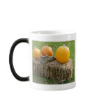 Autumn Is The Most Beautiful Time Of Year Mug