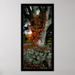 Autumn Ivy posters