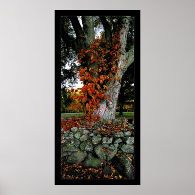 Autumn Ivy Print by gavinshapiro