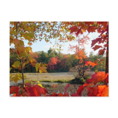 Autumn Lake Framed Postcard by pamdicar