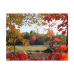 Autumn Lake Framed postcards