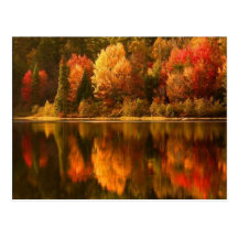 Autumn Lake Postcard