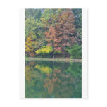 Autumn Lake Reflections postcards