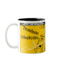 Autumn Lake "TRIBOPHYSICS" Mug