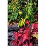 Autumn landscape, New England, U.S.A. Photo Cut Outs