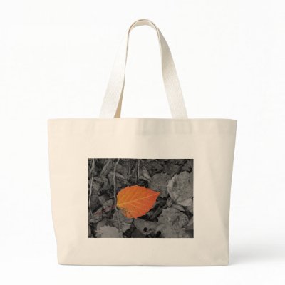 Autumn Leaf Canvas Bag by palmateera
