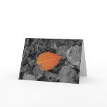 Autumn Leaf