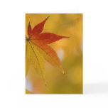 Autumn Leaf