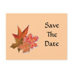Autumn Leaf Cluster, SaveTheDate Post Cards