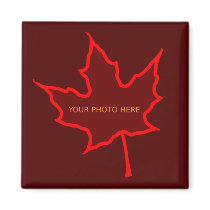 Autumn Leaf Photo Template