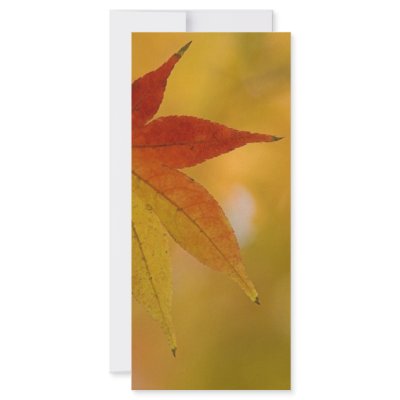 Autumn Leaf by fantasian_angel