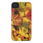 Autumn Leafs natural natural  Green Trees Earth Be iPhone 4 Case