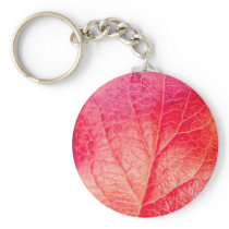 Autumn leave