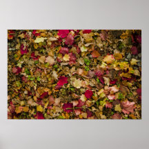 Autumn Leaves #1 Poster