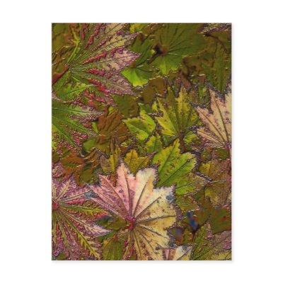 Autumn Leaves: Albert Camus - Postcard by bontondesigns