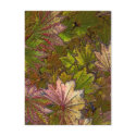 Autumn Leaves: Albert Camus - Postcard
