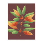 Autumn Leaves and Berries Postcards