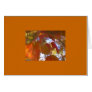 Autumn leaves and blue skies greeting cards