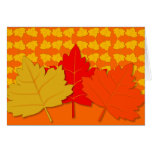 Autumn Leaves Cards