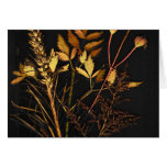 Autumn Leaves Greeting Card