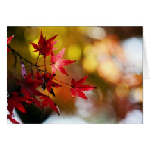 Autumn leaves cards
