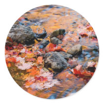 autumn leaves colour