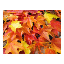Autumn Leaves Colourful Photography Art Prints