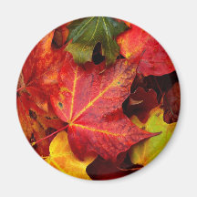 AUTUMN LEAVES FRIDGE MAGNET