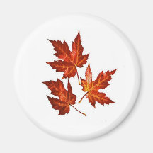 AUTUMN LEAVES FRIDGE MAGNET
