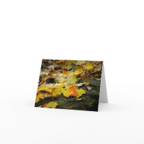 Autumn Leaves Glow Note Card