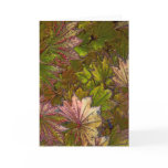 Autumn Leaves - Greeting Card
