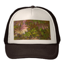 Autumn Leaves - Hat