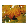 Autumn Leaves II Postcard