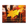 Autumn Leaves in the Poconos Postcard
