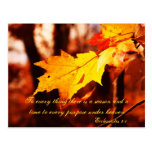 Autumn Leaves in the Poconos Postcard
