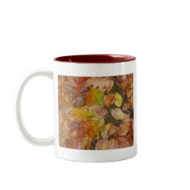 Autumn leaves in the rain coffee mug