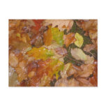 Autumn leaves in the rain post cards