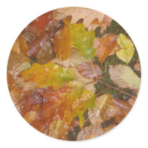 Autumn leaves in the rain sticker