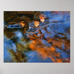 autumn leaves in water print