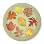 Autumn Leaves Magnet