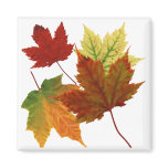AUTUMN LEAVES magnets