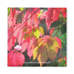 Autumn Leaves - Magnet