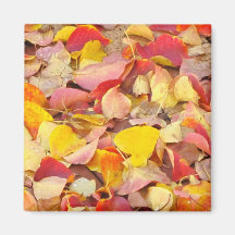Autumn Leaves Magnets
