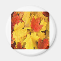 AUTUMN LEAVES MAGNETS