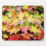 Autumn LEaves mousepads