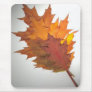 Autumn Leaves Use Pad